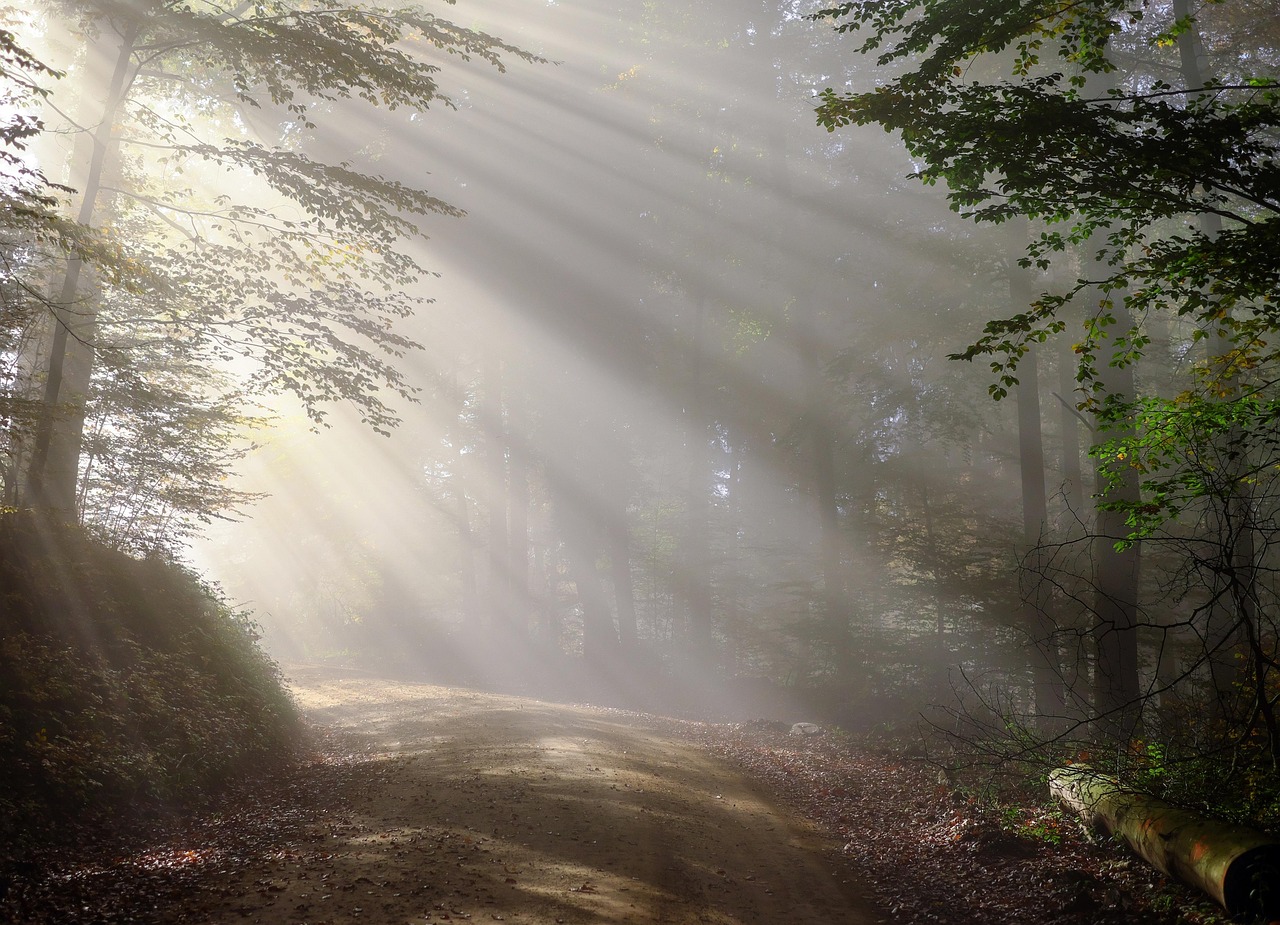 Do you know how the early morning looks like for successful people around the world??