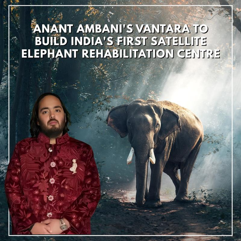 “Vantara 2025: Pioneering a New Era in Wildlife Rescue & Conservation”